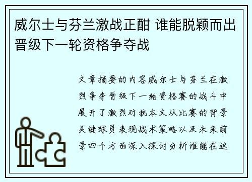 威尔士与芬兰激战正酣 谁能脱颖而出晋级下一轮资格争夺战